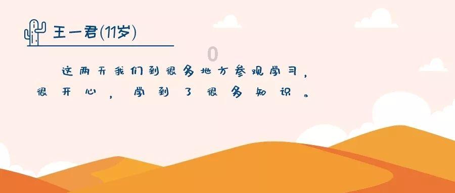 胖小猫救援