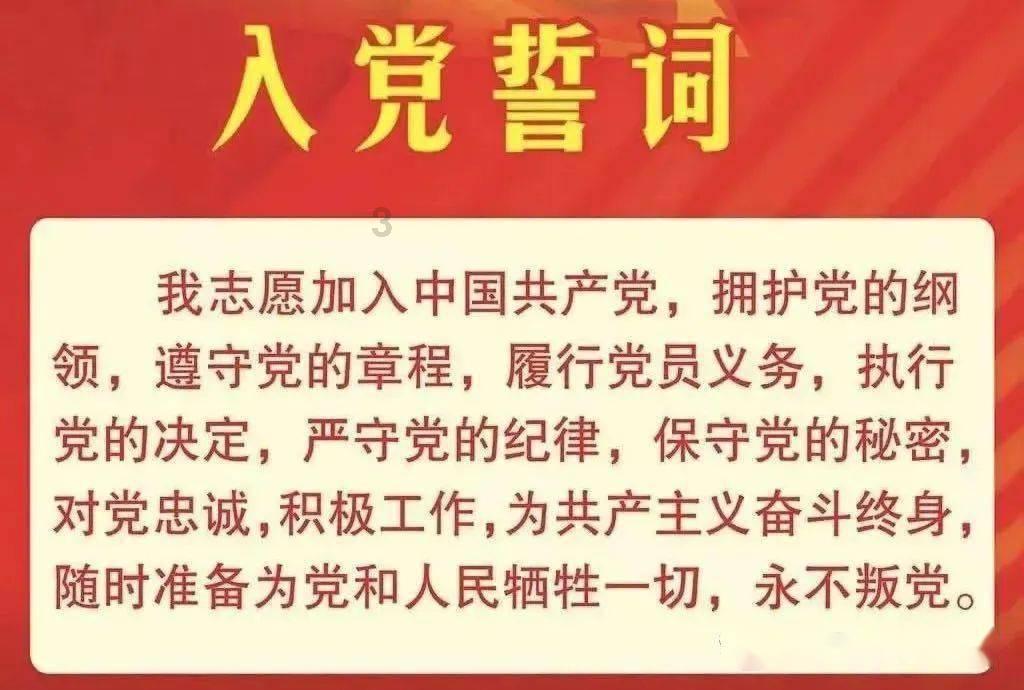 5个月的柴犬将4岁的英斗欺负的连连败退,英斗:你欺负老实狗